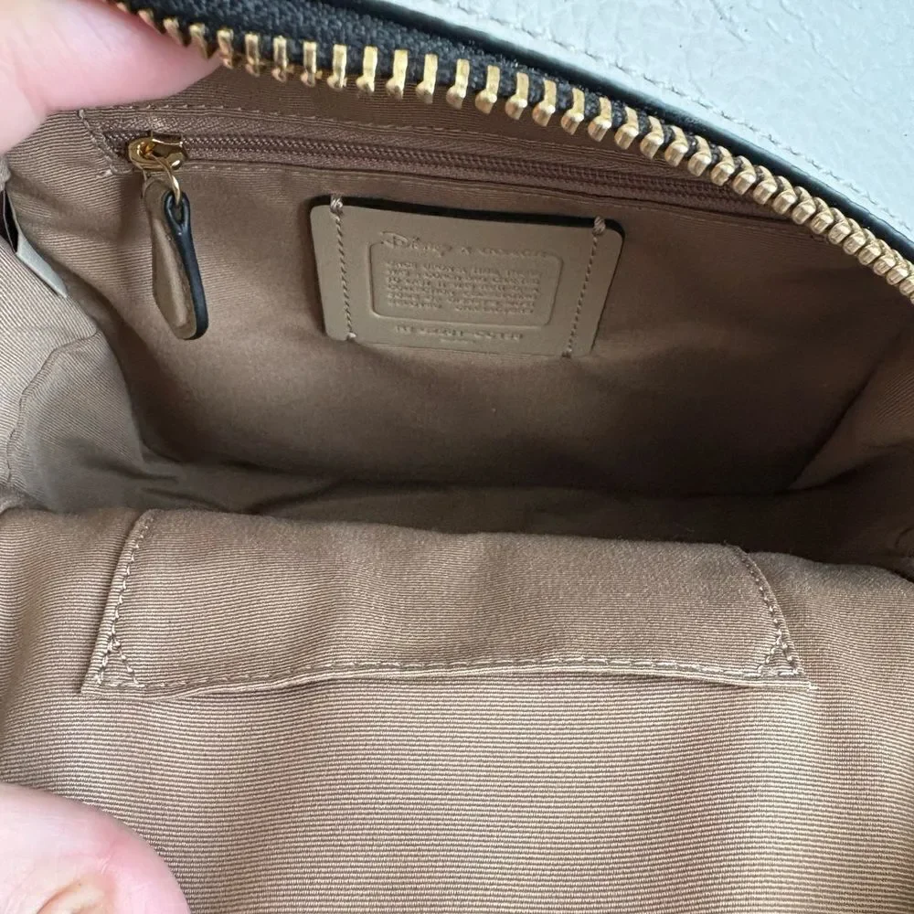 Coach Disney mini Backpack